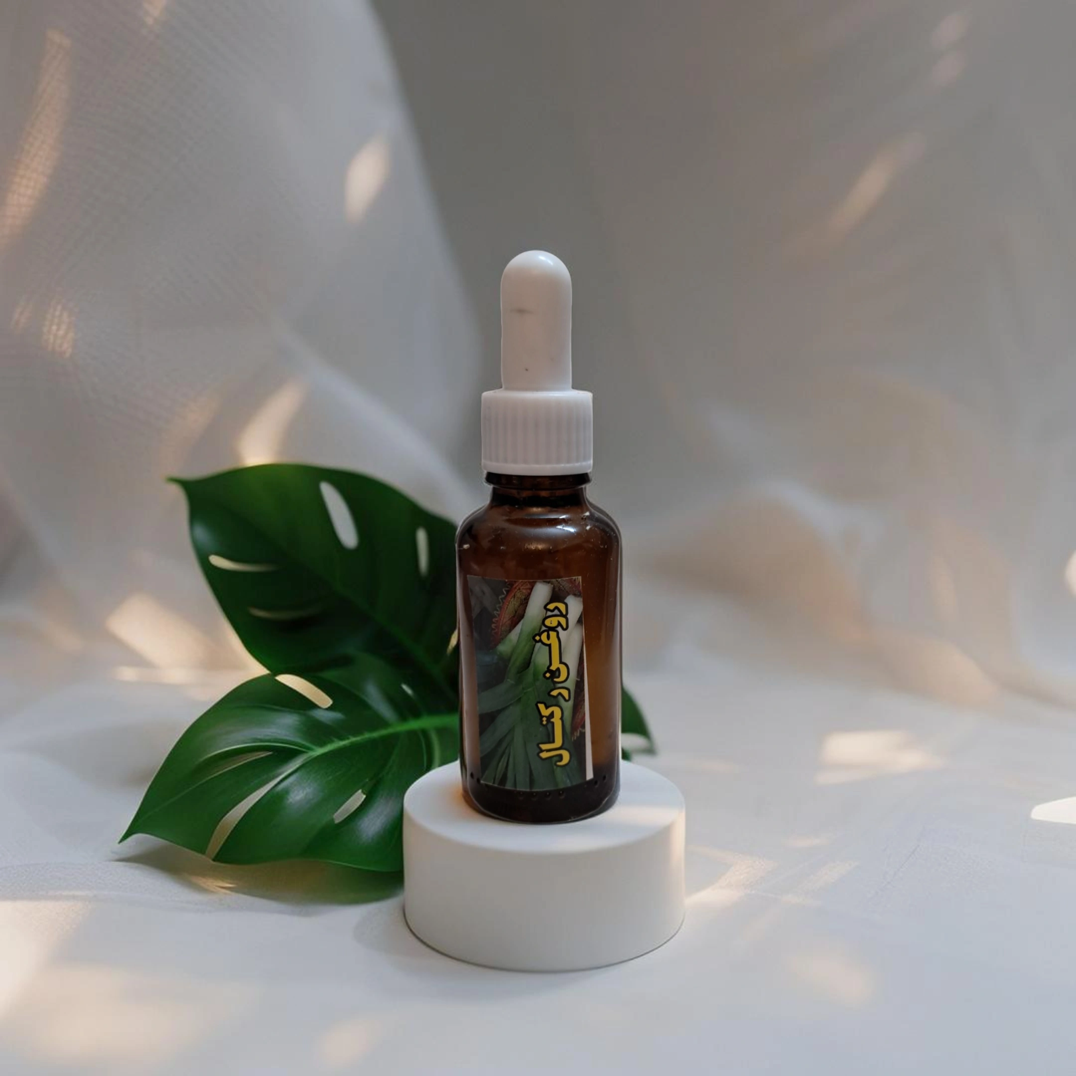 image_Pippit_202505051151 (72) (1).webp